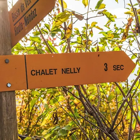 Nelly By Interhome * Veysonnaz